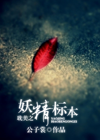 妖精标本封面