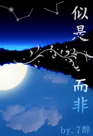 似是而非封面