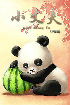 小丈夫封面