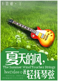 夏天的风,轻抚琴弦封面