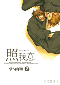 照我意封面