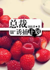 总裁诱捕计划封面