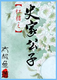 红楼之史家公子封面