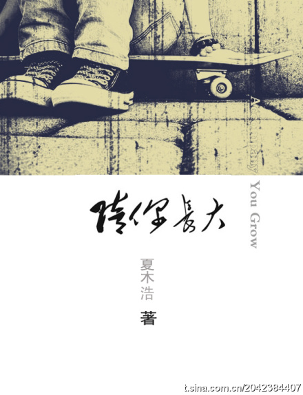 陪你长大封面