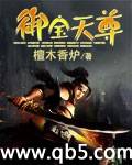 御宝天尊封面