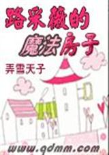 路采薇的魔法房子封面