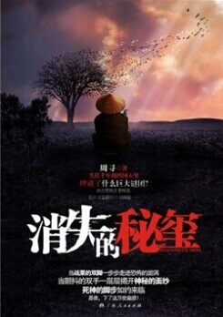 消失的秘玺封面