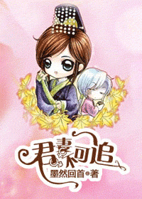 君妻不可追封面