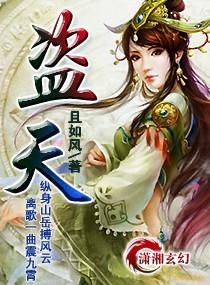 盗-天封面