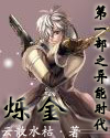 烁金封面