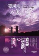一霎风雨我爱过你封面