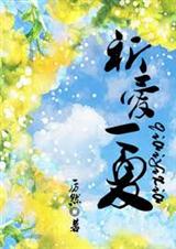 祈爱一夏封面