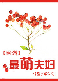 网游之最萌夫妇封面