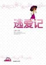 逃爱记封面
