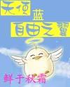 天使蓝自由之翼封面