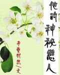 他的神秘恋人封面