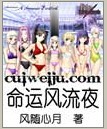 命运风流夜封面