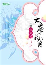 大唐风月续徐贤妃封面