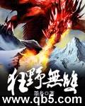狂野无双封面