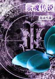 紫魂传说封面