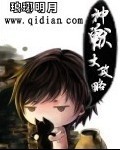 神兽大攻略封面