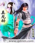 真龙劫封面
