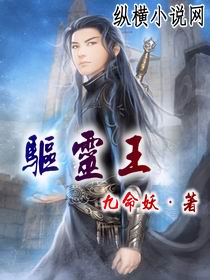 驱灵王封面