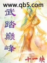 武踏巅峰封面