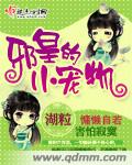 邪皇的小宠物封面
