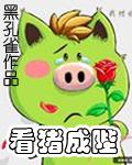看猪成陛封面