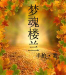 梦魂楼兰封面