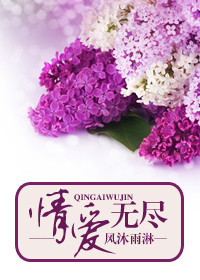 情爱无尽封面