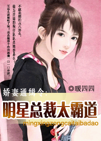 明星总裁太霸道封面
