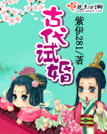 古代试婚封面