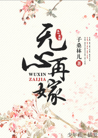 无心再嫁封面