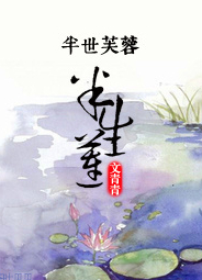 半世芙蓉半生莲封面