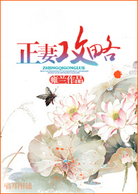 正妻攻略封面