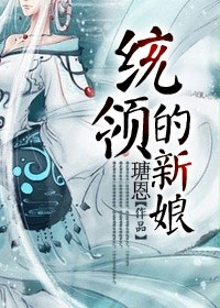 统领的新娘封面