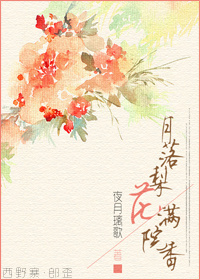 月落梨花满院香封面