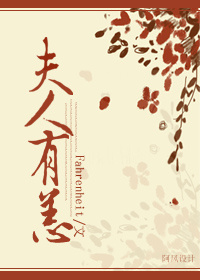 夫人有恙封面