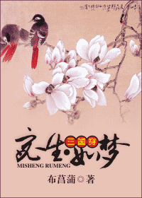 宓生·如梦封面