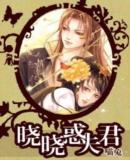 晓晓惑夫君封面