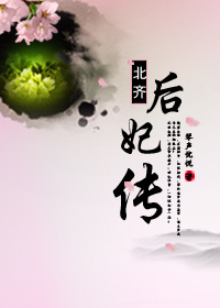 北齐后妃传封面