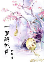 一梦醉桃花封面