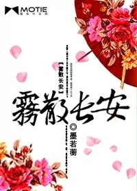 雾散长安封面