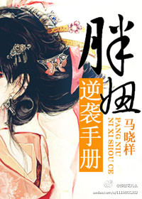 胖妞逆袭手册封面