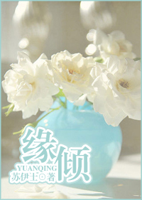 缘倾封面