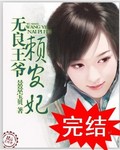 无良王爷赖皮妃封面
