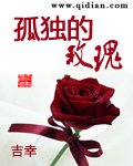 孤单玫瑰封面