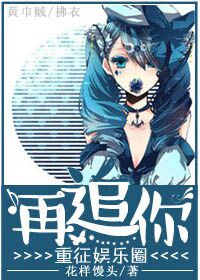 重征娱乐圈再追你封面